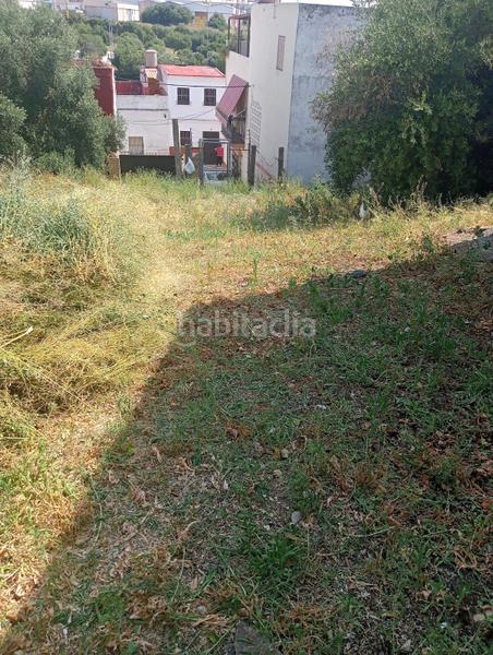 Foto e1fdf886-f556-45d1-8c13-6565013deadb. Casa encantadora vivienda con gran terreno en el centro en Alcalá del Río