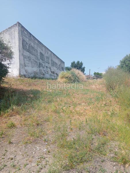Foto ebab561d-851b-4c9d-ad76-2302783ccb54. Casa encantadora vivienda con gran terreno en el centro en Alcalá del Río