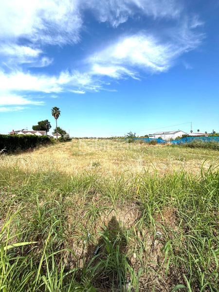 Foto bb89e356-efa1-4ce8-bbc0-eb23231747ec. Terreno residencial oportunidad única ! terreno de 10.000 m para invertir o soñar en Guillena