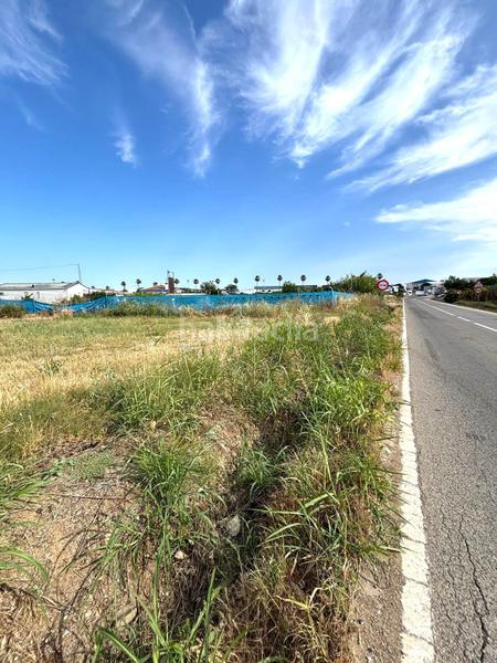 Foto e5b44dce-1e7e-4375-8b1a-93caf466e6f2. Terreno residencial oportunidad única ! terreno de 10.000 m para invertir o soñar en Guillena
