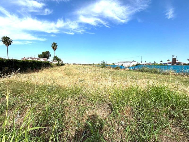 Foto fcb5a4ab-57ff-44c8-9b10-4d1fc7dc7258. Terreno residencial oportunidad única ! terreno de 10.000 m para invertir o soñar en Guillena