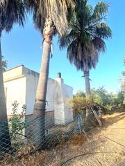 Haus in Alcolea del Río. Tu paraíso entre olivos te espera en alcolea del río!