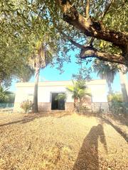 Maison à Alcolea del Río. Tu paraíso entre olivos te espera en alcolea del río!