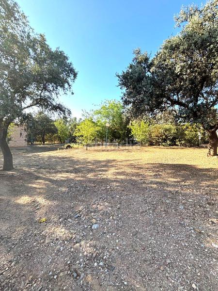 Foto 48fb04ad-24b9-4e0e-bf91-2d0b994c907f. Terreno residencial parcela en castilblanco que lo tiene todo! en Castilblanco de los Arroyos