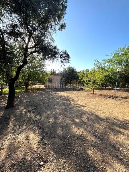 Foto 7ba374a9-b523-4220-ad29-75667263d67d. Terreno residencial parcela en castilblanco que lo tiene todo! en Castilblanco de los Arroyos