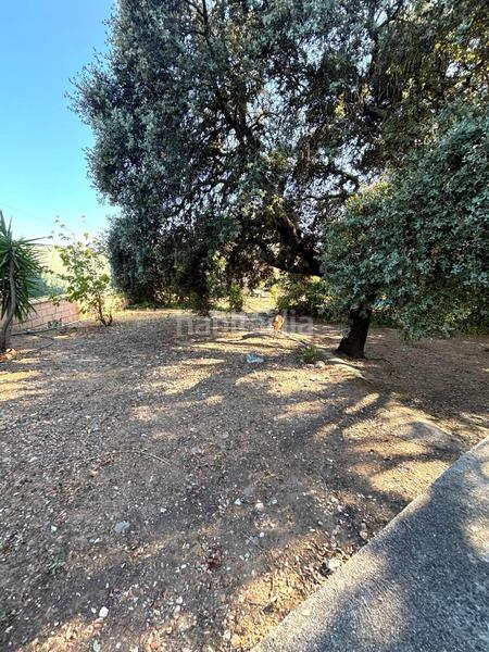 Foto c7741f72-07b1-4696-ad88-b2f750f1df43. Terreno residencial parcela en castilblanco que lo tiene todo! en Castilblanco de los Arroyos