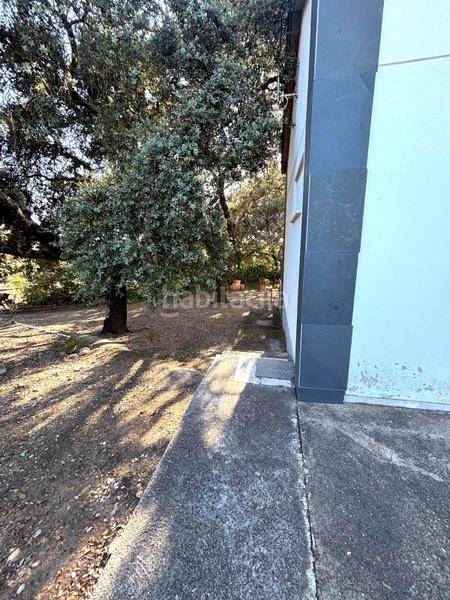 Foto fc75e5e1-d446-41fd-9d6b-41512c126695. Terreno residencial parcela en castilblanco que lo tiene todo! en Castilblanco de los Arroyos