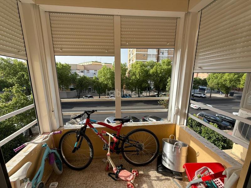 Foto 2726cc35-0031-4555-9ec7-eab72d515692. Pis a Parque María Luisa -Giralda Sur Sevilla