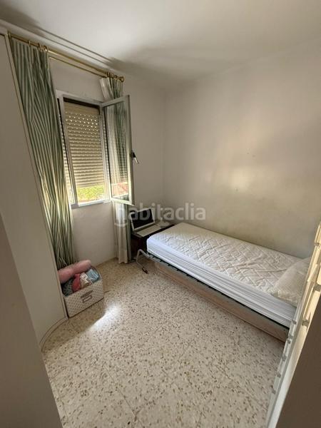 Foto 353a5a11-dd50-4607-8bcb-5a946e6cb7c8. Pis a Parque María Luisa -Giralda Sur Sevilla