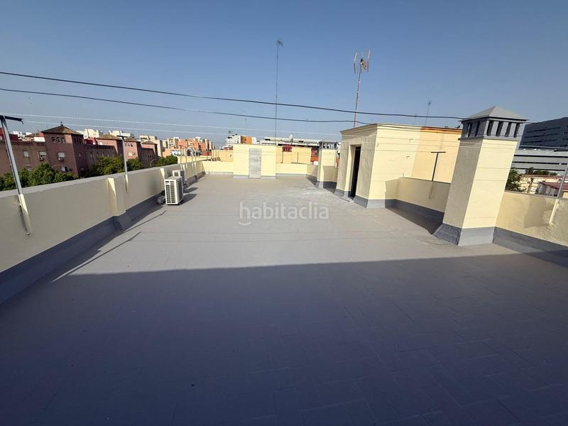 Foto 45eaf26d-4b58-4a54-b1f2-b23713f5a432. Pis a Parque María Luisa -Giralda Sur Sevilla