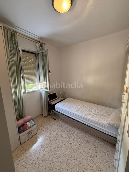 Foto b1eca8ff-674d-42c6-9d48-a36b6aea859a. Pis a Parque María Luisa -Giralda Sur Sevilla