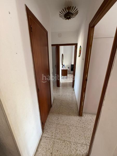 Foto ec416525-f031-4799-93ac-5b273a62c7d9. Pis a Parque María Luisa -Giralda Sur Sevilla