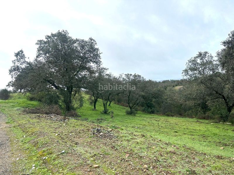 Foto b16ede20-ac82-421c-9237-f0c10e4cda4f. Terreny residencial a Los Lagos Guillena