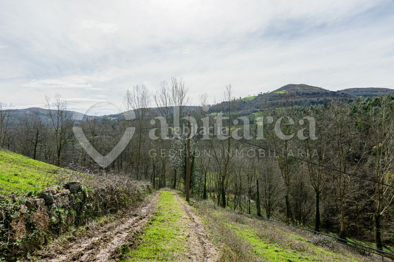 Foto 967d1e02-a92d-4401-8e0c-d35778998e4b. Masia a Entrambasaguas