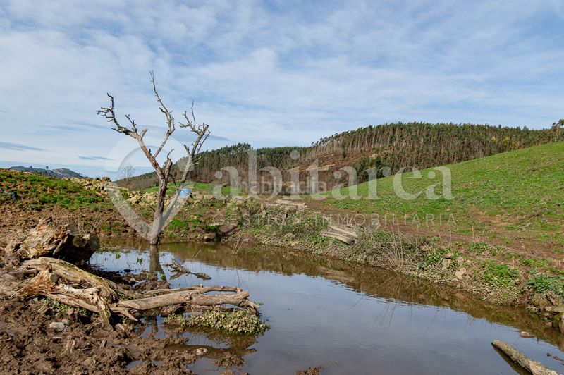 Foto d1f4d108-5368-4037-85ac-bffac20a1d14. Masia a Entrambasaguas