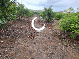 Finca rústica a Buenavista del Norte. Finca rústica en buenavista del norte