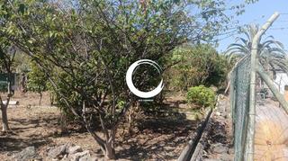 Finca rústica a San Felipe - San Marcos - Las Cañas. Finca rústica en icod