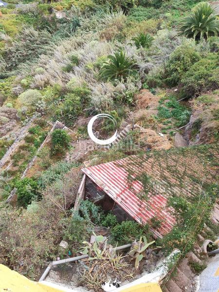 Foto 04a264bf-1c6f-451b-bdca-d9fdfd538083. Masía casa adosada en La Vega - El Amparo - Cueva del Viento Icod de los Vinos