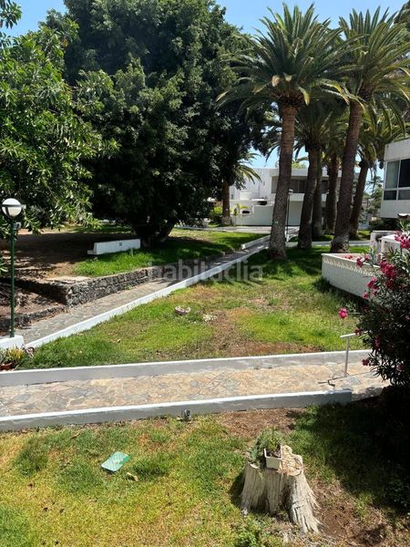 Foto 91ca84f4-6756-45d1-bd4d-77cf09e640e8. Pis a Costa del Silencio Arona