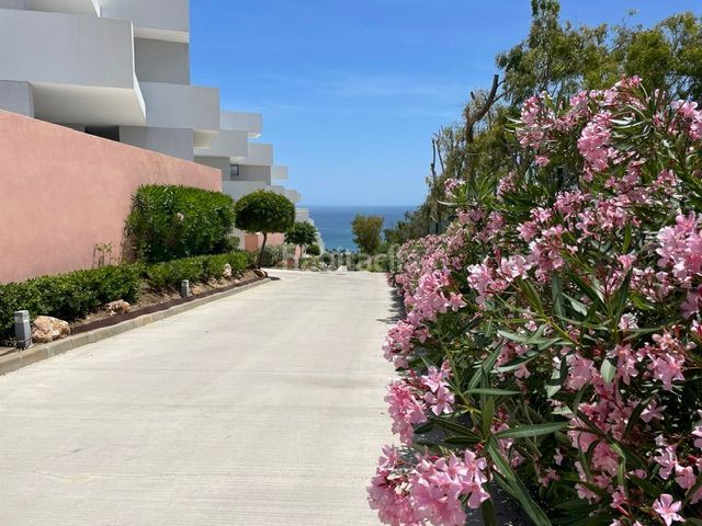 Foto 80721acd-9fce-4269-b5ed-795511c1a783. Apartament amb calefacció piscina a Alcorrín Manilva