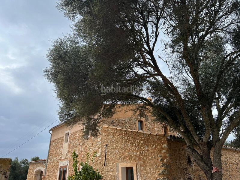 Foto 83c3a5c8-022d-4bd4-ad65-9539b30decc1. Alquiler masía casa rustica entre y es carritxo en Felanitx