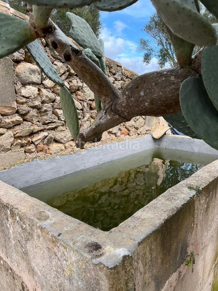 Foto c2e710d7-4684-4d06-a033-14f1bd551c7a. Alquiler masía casa rustica entre y es carritxo en Felanitx