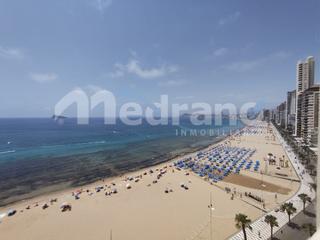 Estudi  N/a. Estudio 1 linea playa levante, benidorm