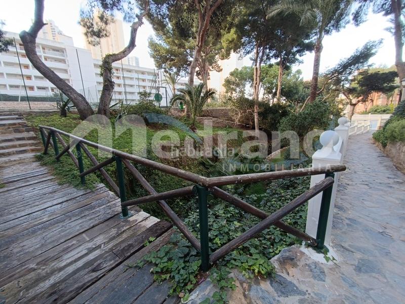 Foto d1e5974d-2d69-4bf0-957d-4e2973945a89. Appartamento con riscaldamento parcheggio piscina in Benidorm