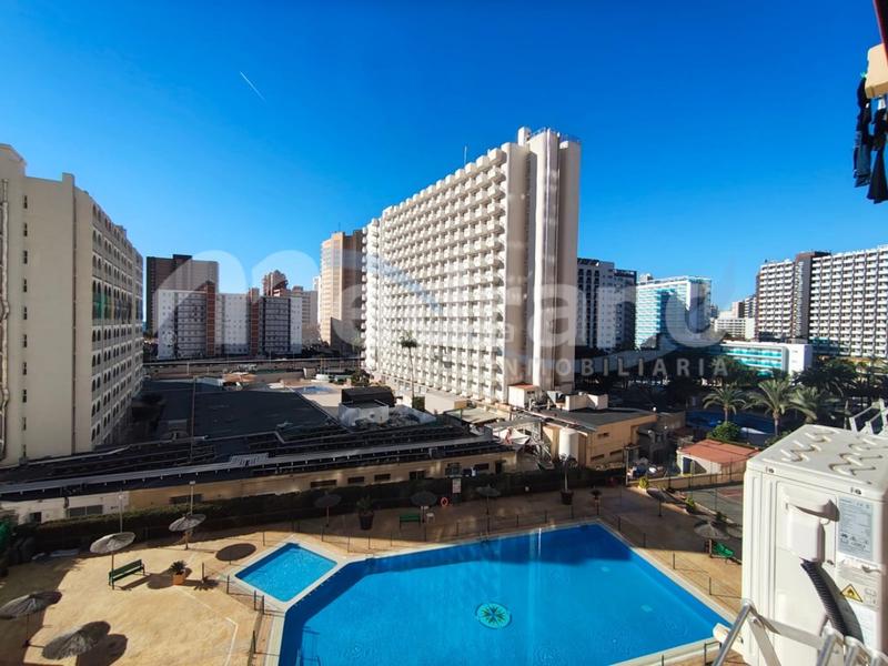 Foto a2833ad8-f0c8-465f-afc9-e1b064320776. Rent studio with parking pool in Rincón Bajo Benidorm