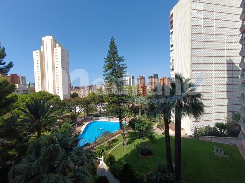 Foto 0d75feeb-46fb-4a6f-9b55-5a8d03589f15. Estudi amb aparcament piscina a Rincón Alto Benidorm