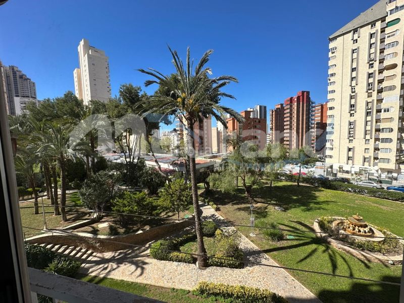 Foto c4605581-c7c5-4893-acca-e060f69f8f7a. Estudi amb aparcament piscina a Rincón Alto Benidorm