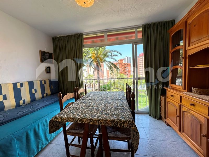Foto f540b3b0-fbea-434f-92cd-c6ad68c57e45. Estudi amb aparcament piscina a Rincón Alto Benidorm