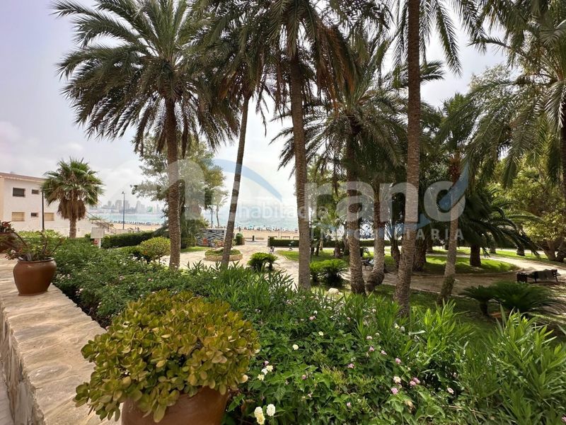 Foto 1ad209e6-999c-4747-9f96-2129ac1f59f9. Pis amb calefacció aparcament a Playa Poniente Benidorm