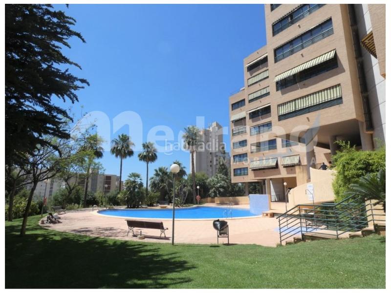 Foto 38fa882a-b21f-4a7d-9e2b-6bd606a20327. Àtic amb calefacció aparcament piscina a Playa Poniente Benidorm