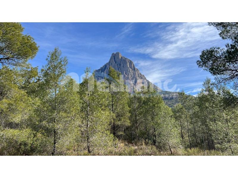 Foto 24333a83-04dc-437e-9946-61b4e9030ee7. Wohngrundstück in Finestrat pueblo Finestrat