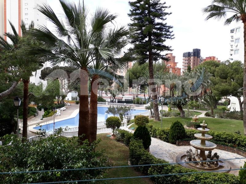 Foto 055317a6-8749-4c41-9860-0d571cbb18d0. Location studio avec chauffage piscine dans Rincón Alto Benidorm