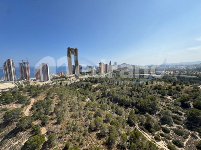 Foto b26075d6-8ca6-446a-a7f8-50df451255e3. Affitto appartamento con riscaldamento parcheggio piscina in Benidorm