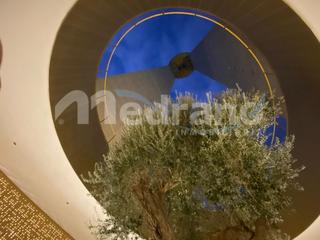 Location Appartement  Avenida de mexico. Alquiler intempo 2 dormitorios, benidorm