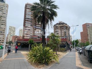 Local Comercial  N/a. Local comercial en venta  oportunidad única