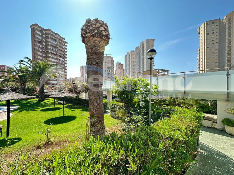 Foto 0908448b-d88a-4651-9805-984456742051. Pis amb aparcament piscina a Playa Poniente Benidorm