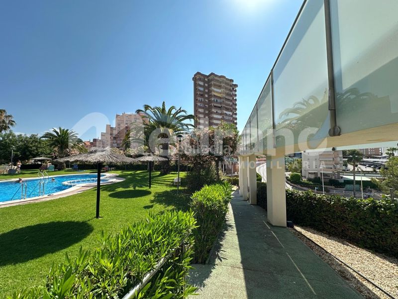 Foto dc5b8819-abad-414b-9f36-568bb2d7ee8d. Pis amb aparcament piscina a Playa Poniente Benidorm