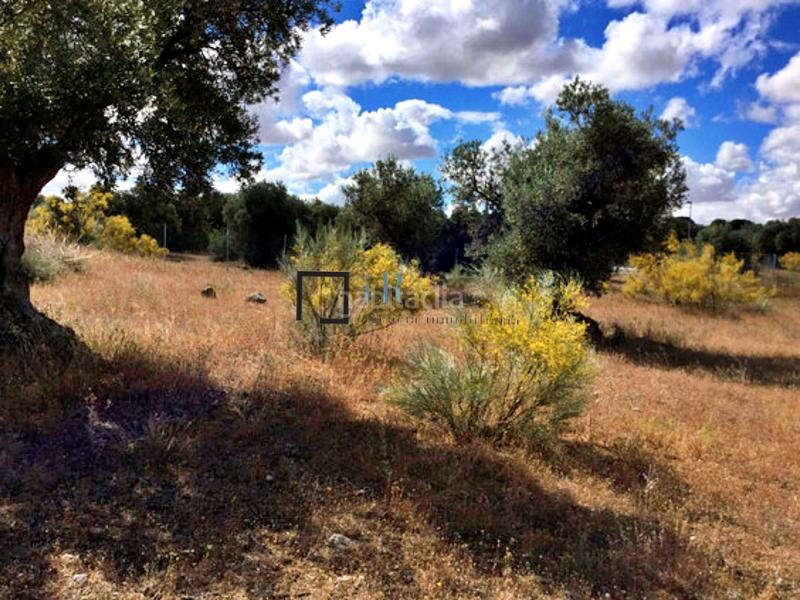 Foto dac27194-92cc-4617-b4ed-88588955cfe2. Terreny residencial a Los Cigarrales-La Bastida Toledo