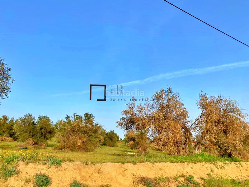 Foto a4906b9a-8815-4cb3-baec-38606b0f177e. Finca rústica en Bargas