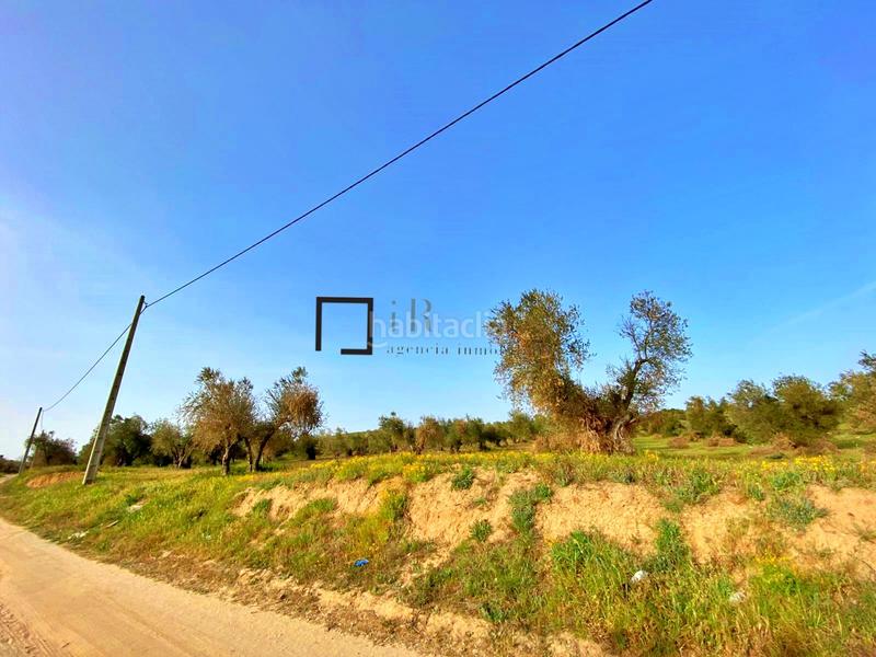 Foto b63039c1-f335-4a58-b2ac-b133e85bbff7. Finca rústica en Bargas