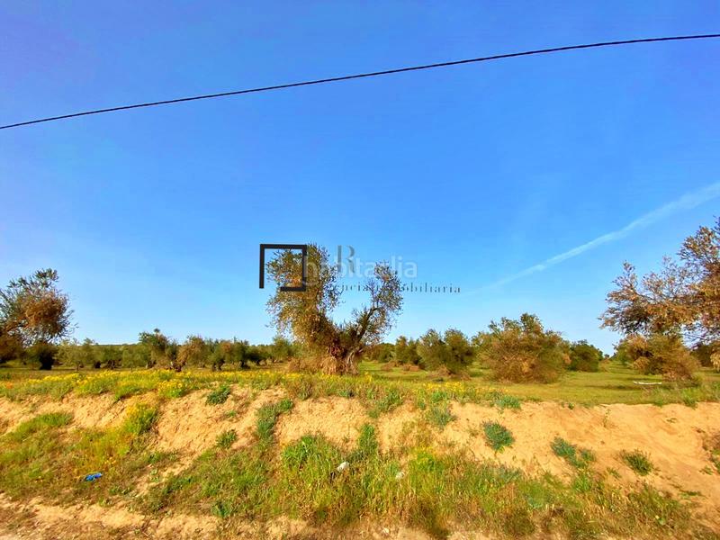 Foto d351a278-2ff1-4329-94c5-cec4c743c619. Finca rústica en Bargas