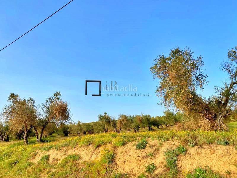 Foto e81fc077-1d39-4e29-bf13-7a1237563f0a. Finca rústica en Bargas