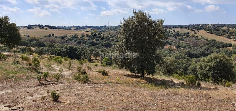 Foto 9d116dc3-db82-4110-9171-f61894e4546a. Casa con riscaldamento parcheggio piscina in Villamanta