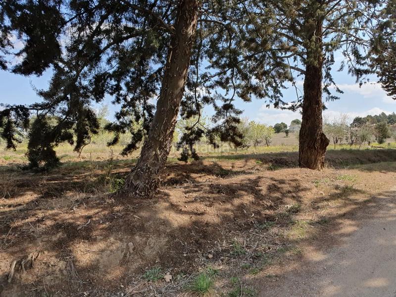 Foto fbb655d6-cc7a-45d2-8b9f-5f0fb232f3d8. Casa con riscaldamento parcheggio piscina in Villamanta