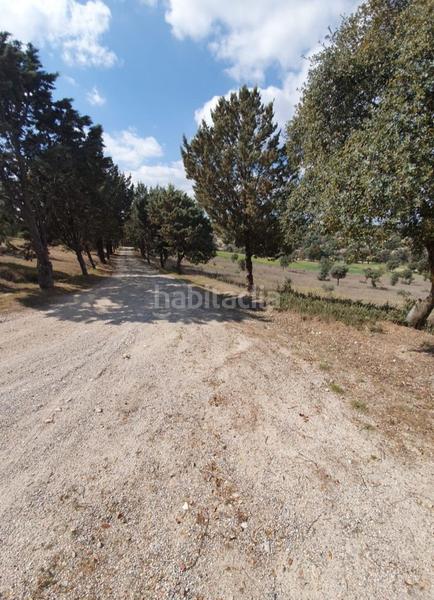 Foto fe11aab7-f66e-477d-8a1d-907a61959b4b. Casa con riscaldamento parcheggio piscina in Villamanta