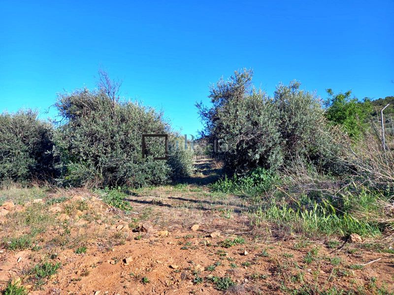 Foto 70fac21b-38bb-4df1-a379-af25defc361e. Residential plot in Navahermosa